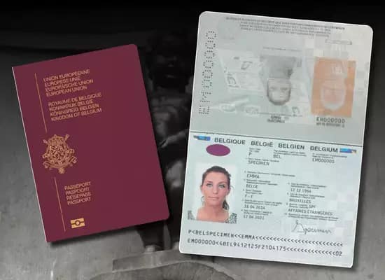 Real and fake passport